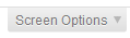 screen_options