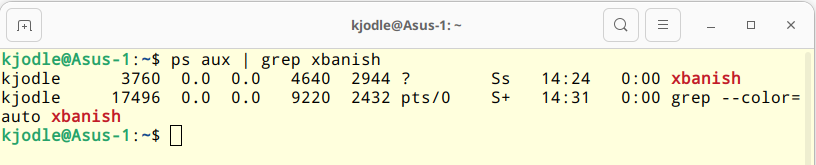 Output of the ps aux | grep xbanish command.